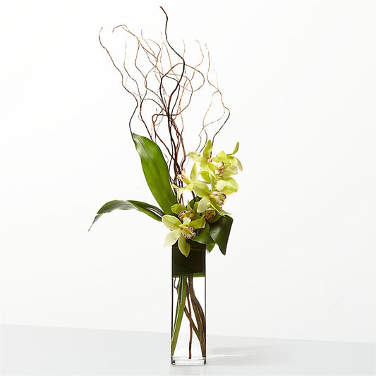 The Statement –  Velvet Leaf And Stem, Las Vegas NV