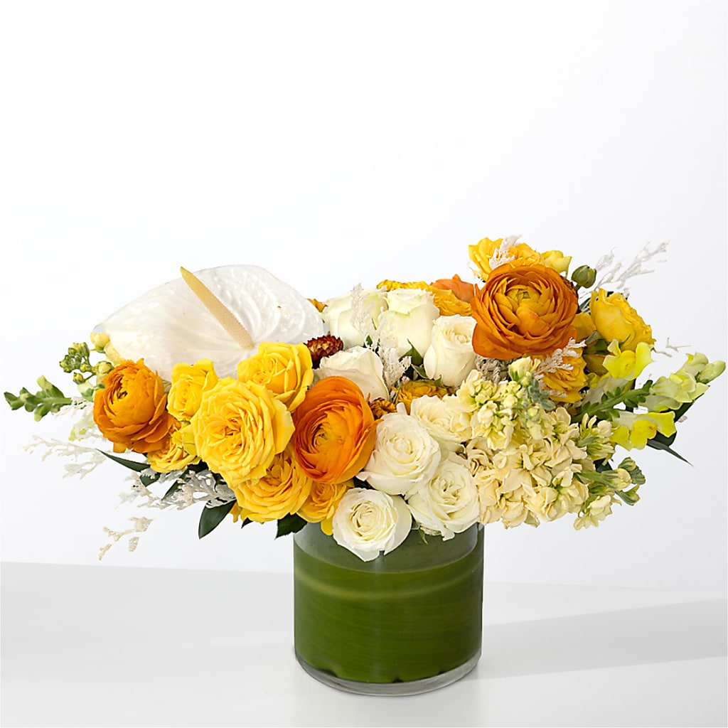 The Optimist –  Velvet Leaf And Stem, Las Vegas NV