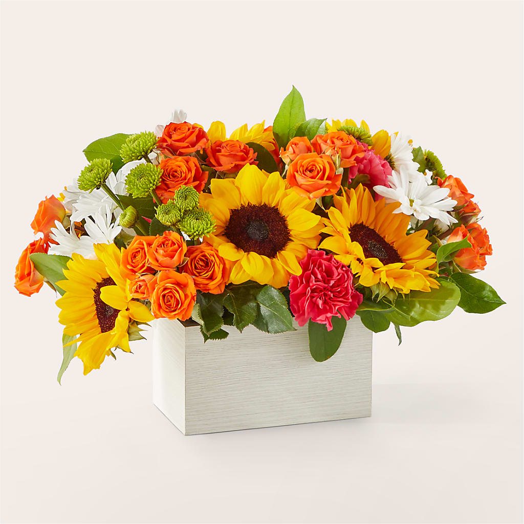 Sun-drenched Blooms Box Bouquet –  Velvet Leaf And Stem, Las Vegas NV