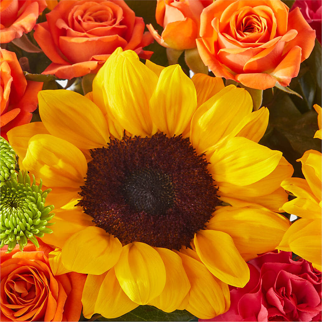 Sun-drenched Blooms Box Bouquet –  Velvet Leaf And Stem, Las Vegas NV