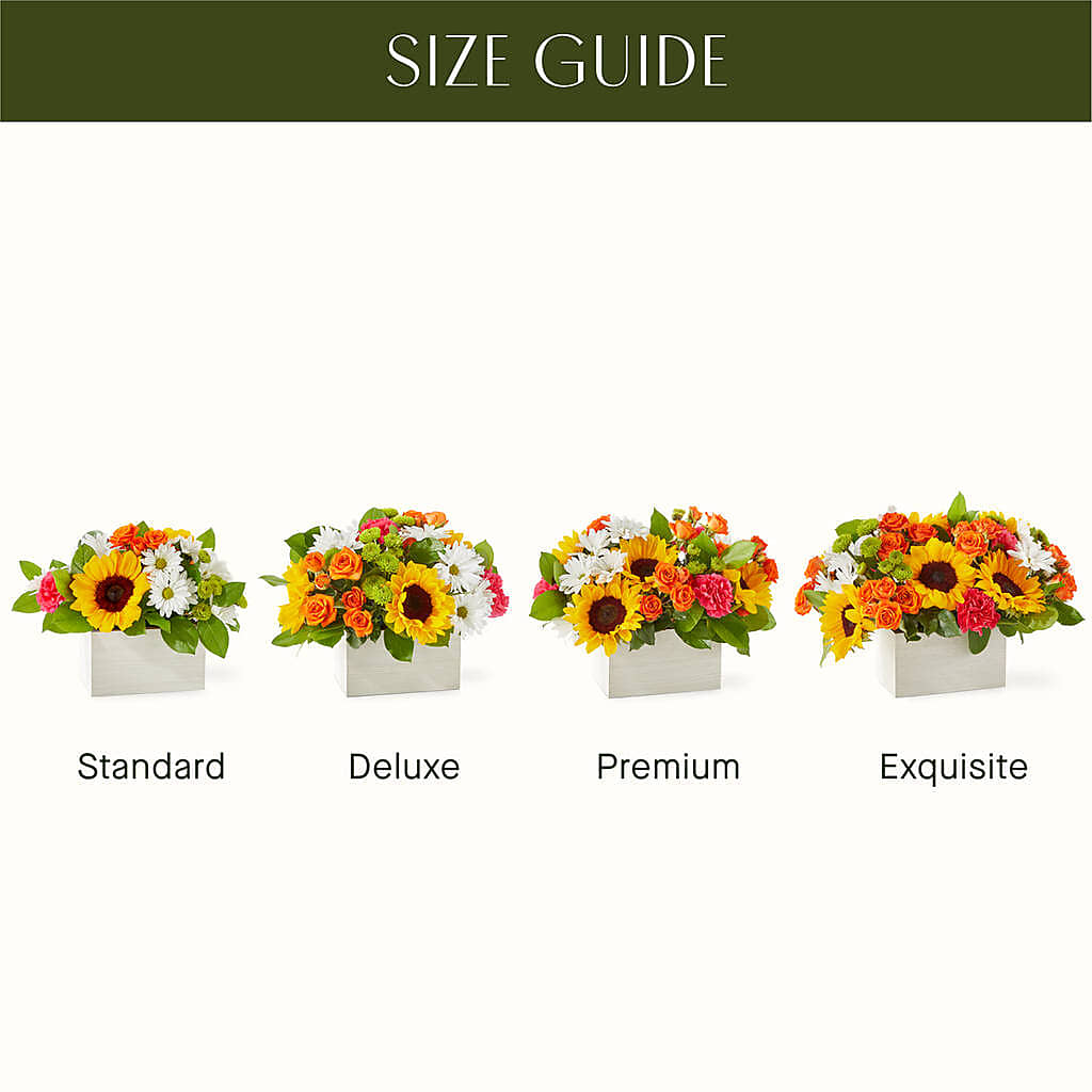 Sun-drenched Blooms Box Bouquet –  Velvet Leaf And Stem, Las Vegas NV