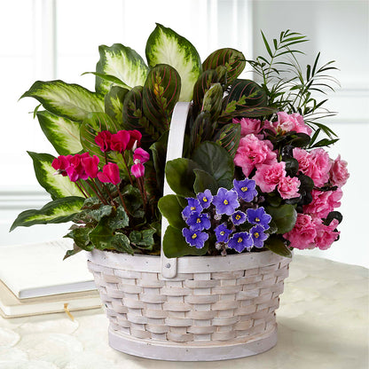 Peaceful Garden Planter –  Velvet Leaf And Stem, Las Vegas NV