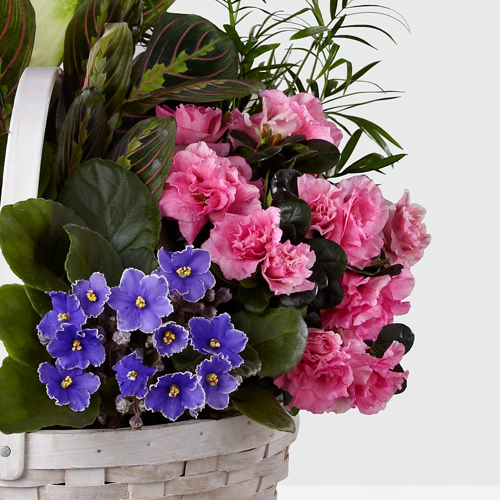 Peaceful Garden Planter –  Velvet Leaf And Stem, Las Vegas NV