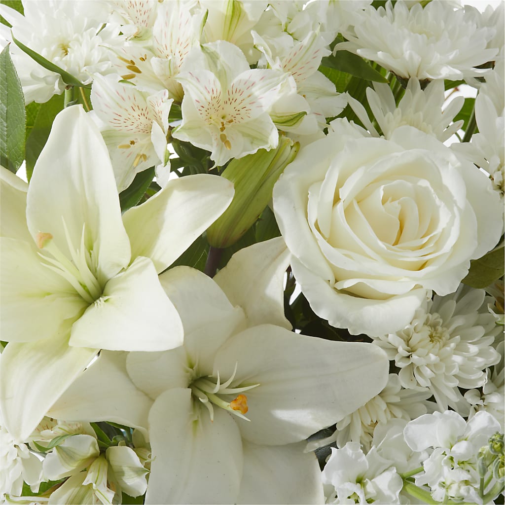 Peaceful Reflections Arrangement –  Velvet Leaf And Stem, Las Vegas NV
