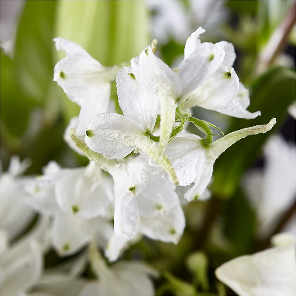 Classic Ivory – A Florist Original –  Velvet Leaf And Stem, Las Vegas NV