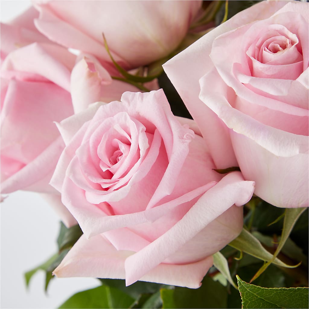 Picture Perfect Pink Rose Bouquet –  Velvet Leaf And Stem, Las Vegas NV