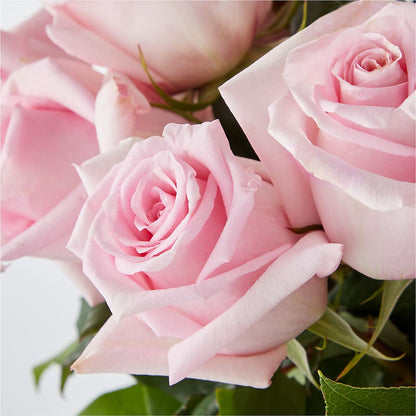 Picture Perfect Pink Rose Bouquet –  Velvet Leaf And Stem, Las Vegas NV