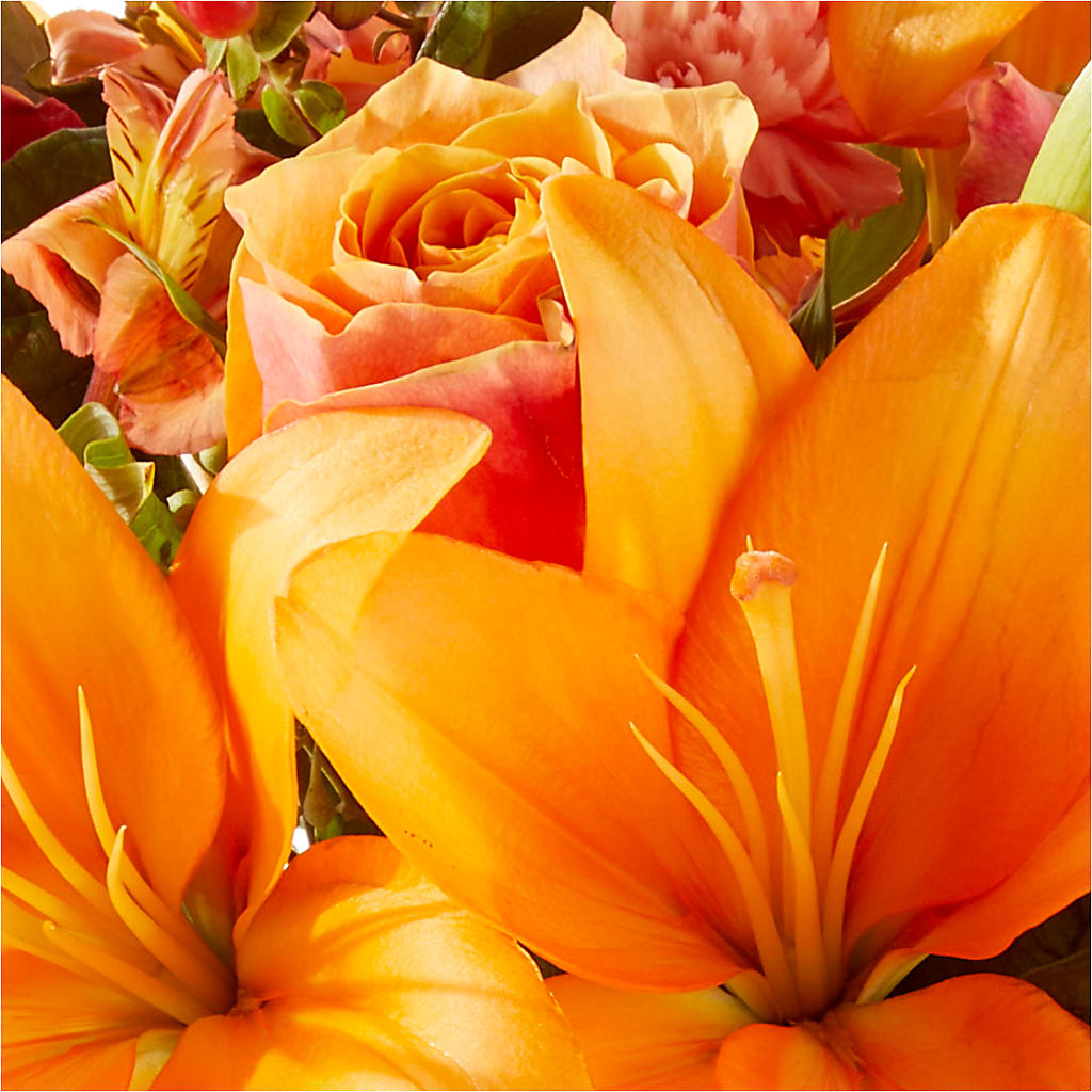 Afternoon Light Bouquet –  Velvet Leaf And Stem, Las Vegas NV