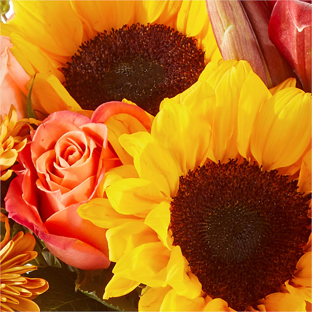 Acorn Lane Bouquet –  Velvet Leaf And Stem, Las Vegas NV