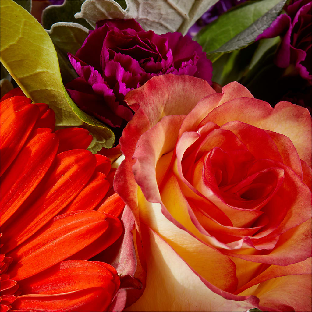 Sangria Bouquet –  Velvet Leaf And Stem, Las Vegas NV