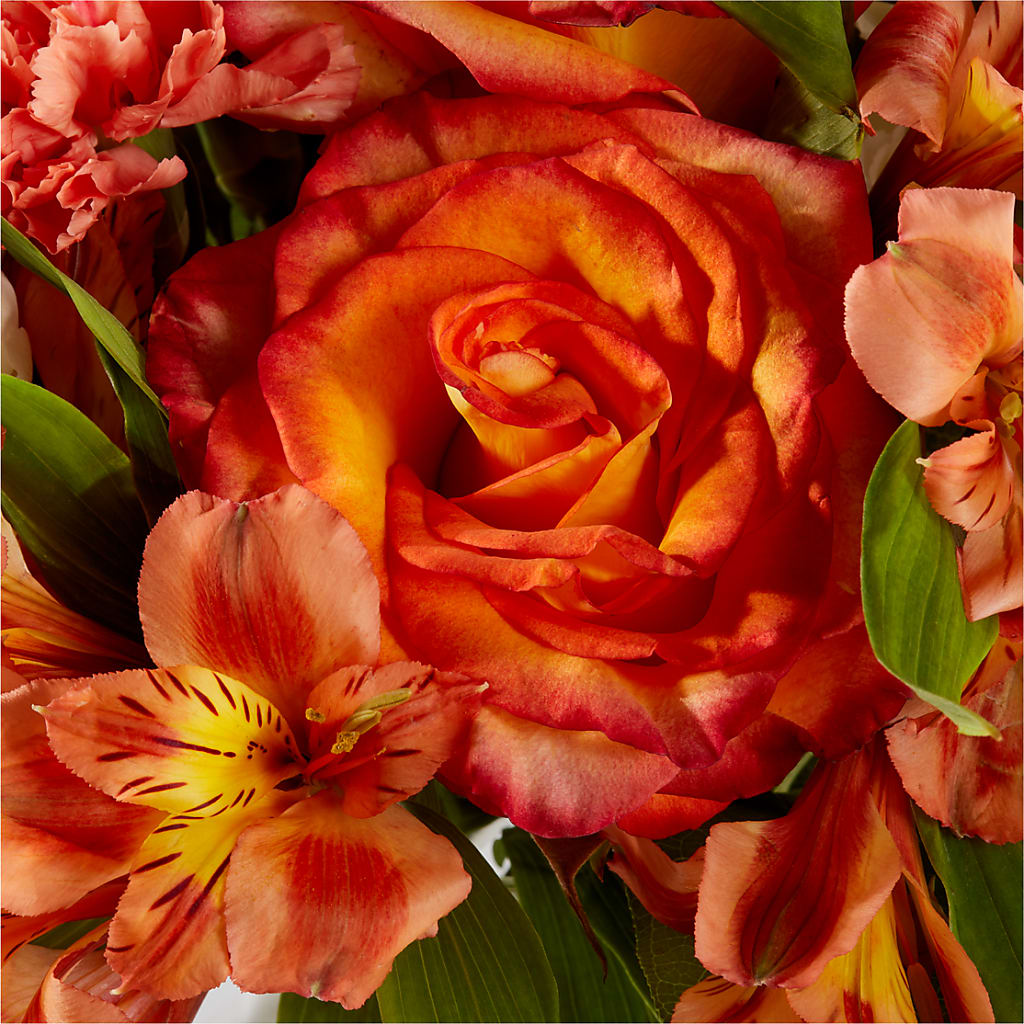 Apricot Glow Bouquet –  Velvet Leaf And Stem, Las Vegas NV