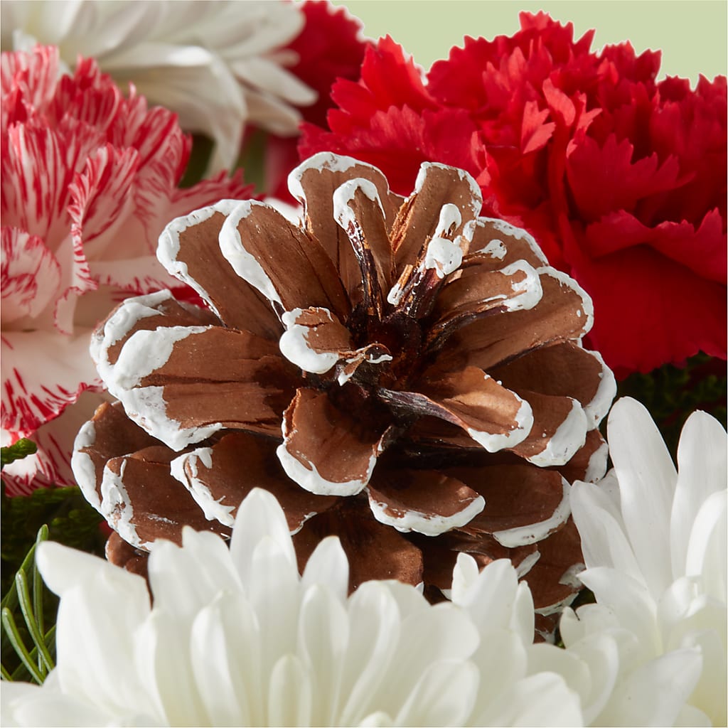 Candy Cane Lane Bouquet –  Velvet Leaf And Stem, Las Vegas NV