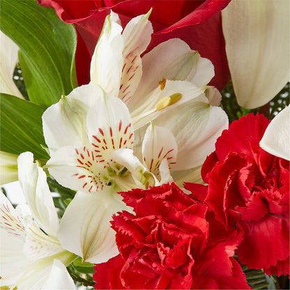 Holiday Season Bouquet –  Velvet Leaf And Stem, Las Vegas NV