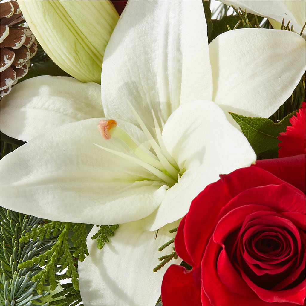 Oh So Jolly Bouquet –  Velvet Leaf And Stem, Las Vegas NV