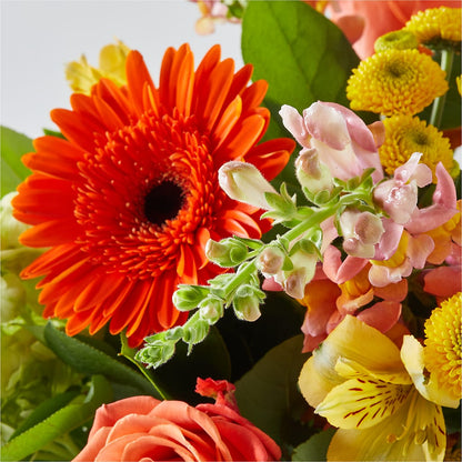 Autumn Sunshine Bouquet –  Velvet Leaf And Stem, Las Vegas NV