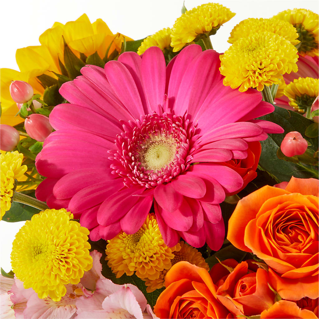 Beach Day Bouquet –  Velvet Leaf And Stem, Las Vegas NV