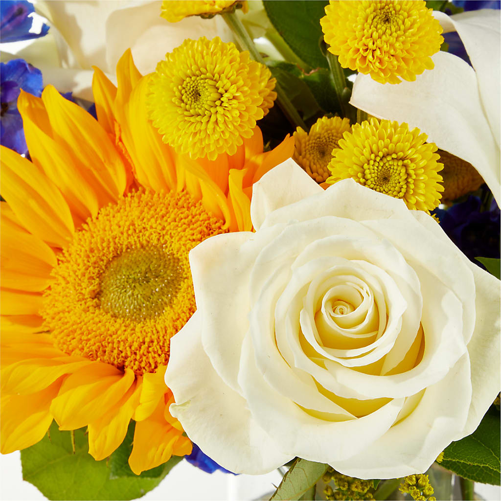 Stargazing Bouquet –  Velvet Leaf And Stem, Las Vegas NV
