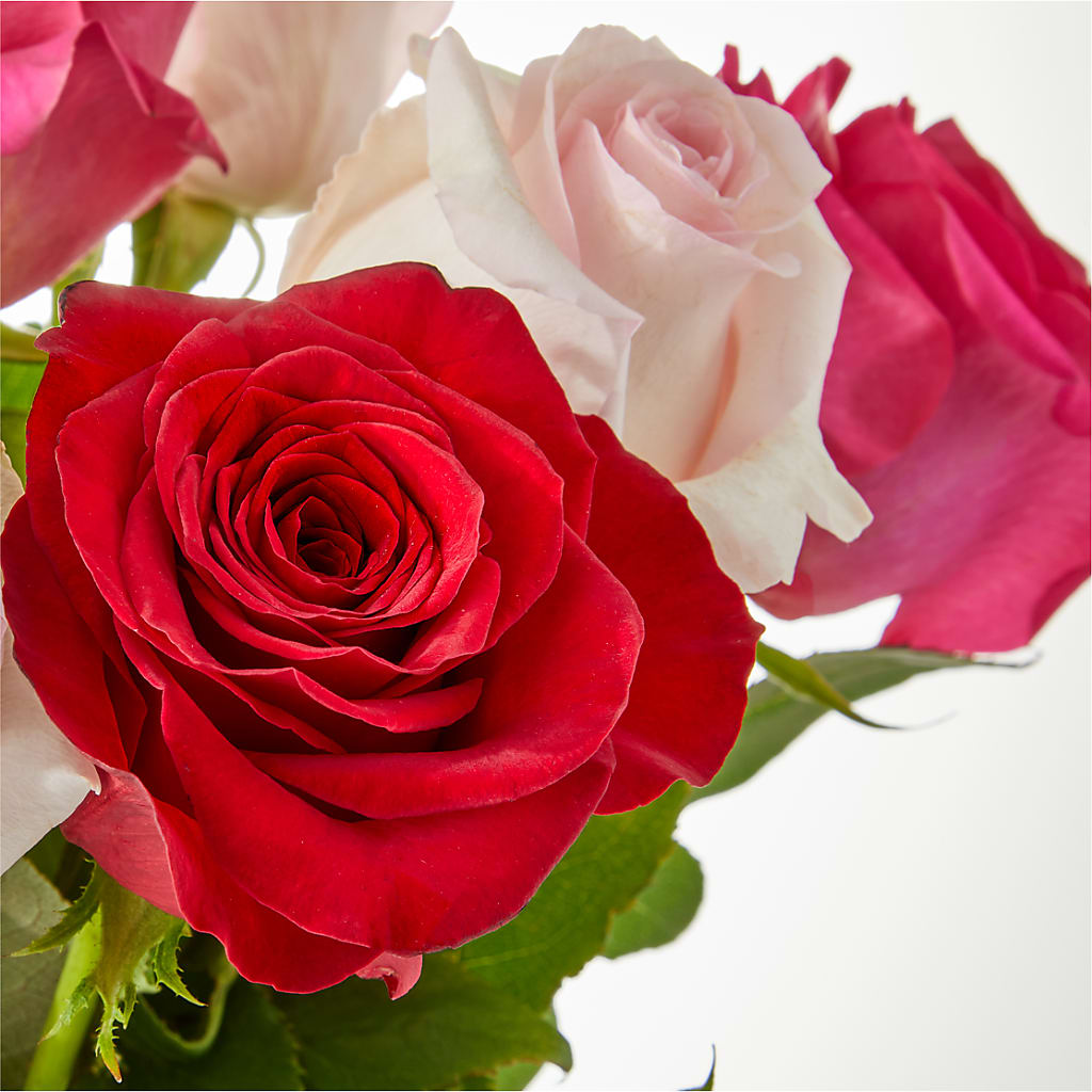 Charming Rose Bouquet –  Velvet Leaf And Stem, Las Vegas NV