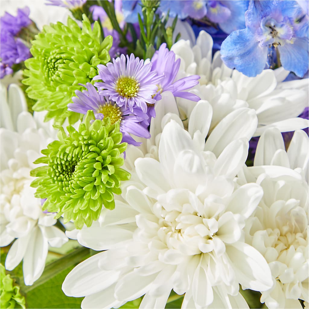 Genuine Gestures Bouquet –  Velvet Leaf And Stem, Las Vegas NV
