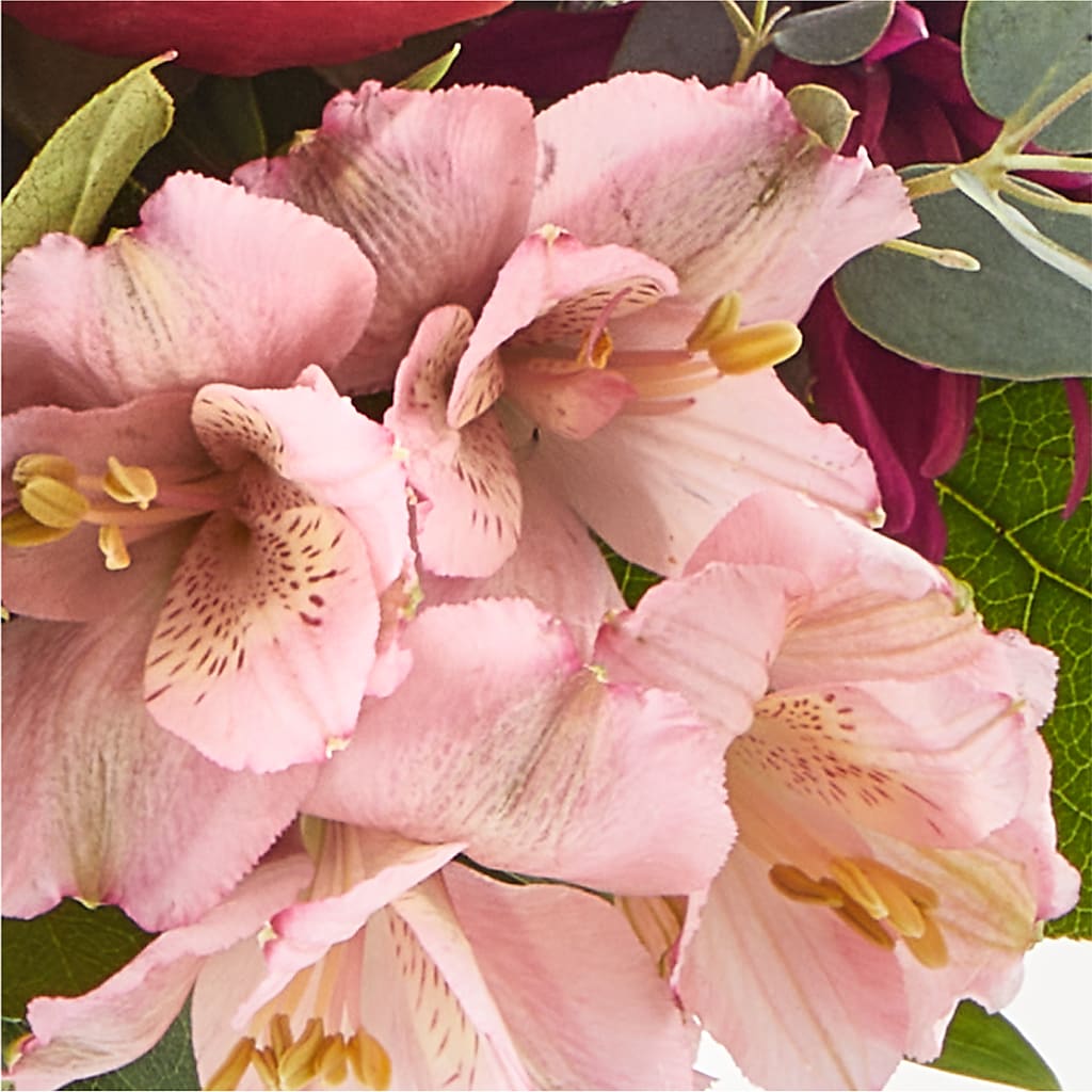 Berry Cobbler Bouquet –  Velvet Leaf And Stem, Las Vegas NV