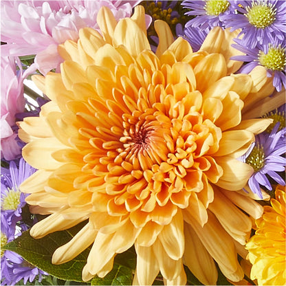Countryside Bouquet –  Velvet Leaf And Stem, Las Vegas NV