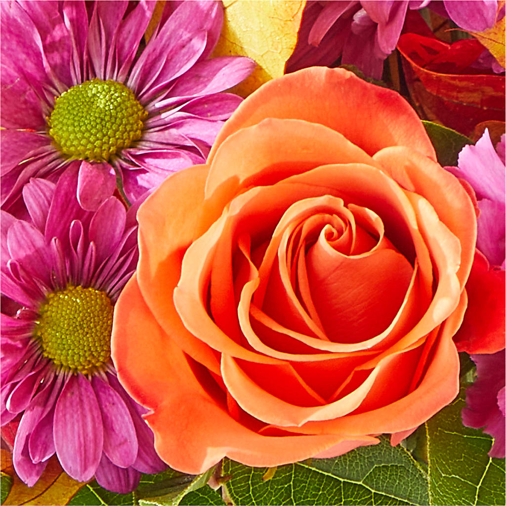Mum's the Word Bouquet –  Velvet Leaf And Stem, Las Vegas NV