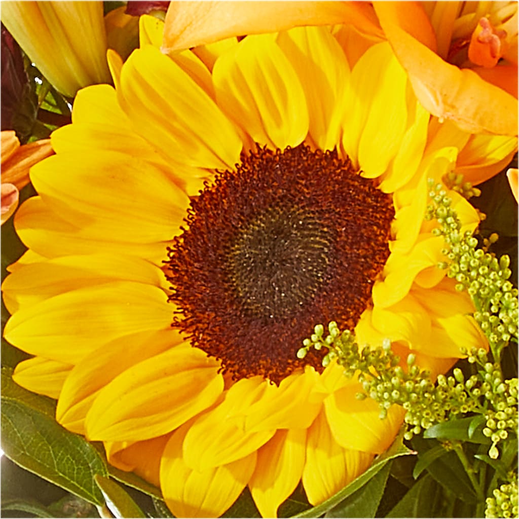 Seasons Change Bouquet –  Velvet Leaf And Stem, Las Vegas NV