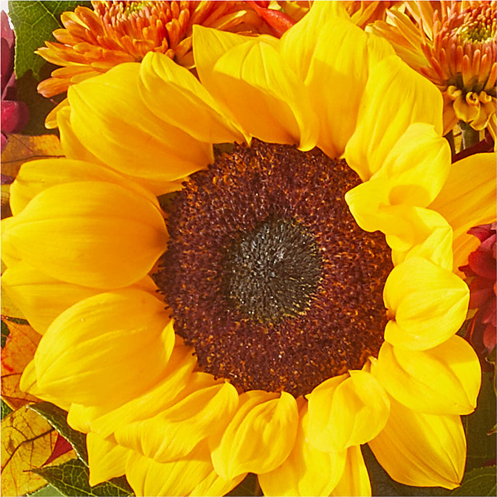 Sunny Side Bouquet –  Velvet Leaf And Stem, Las Vegas NV