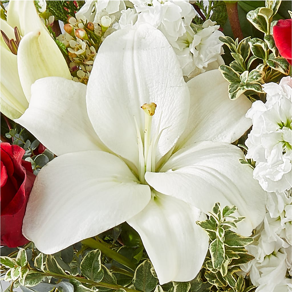 Twinkle Lights Bouquet –  Velvet Leaf And Stem, Las Vegas NV
