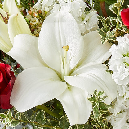 Twinkle Lights Bouquet –  Velvet Leaf And Stem, Las Vegas NV