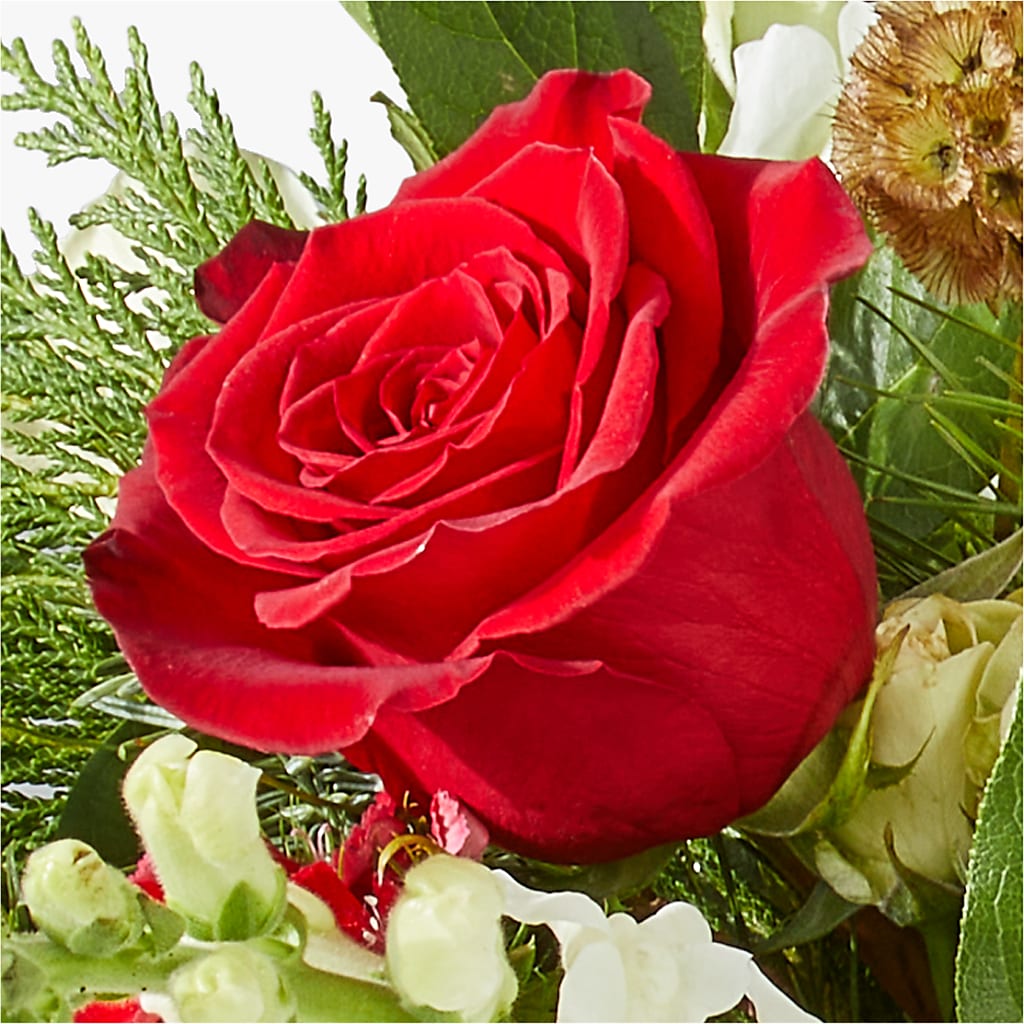 Deck the Halls Bouquet –  Velvet Leaf And Stem, Las Vegas NV