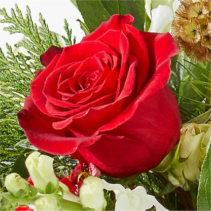 Deck the Halls Bouquet –  Velvet Leaf And Stem, Las Vegas NV