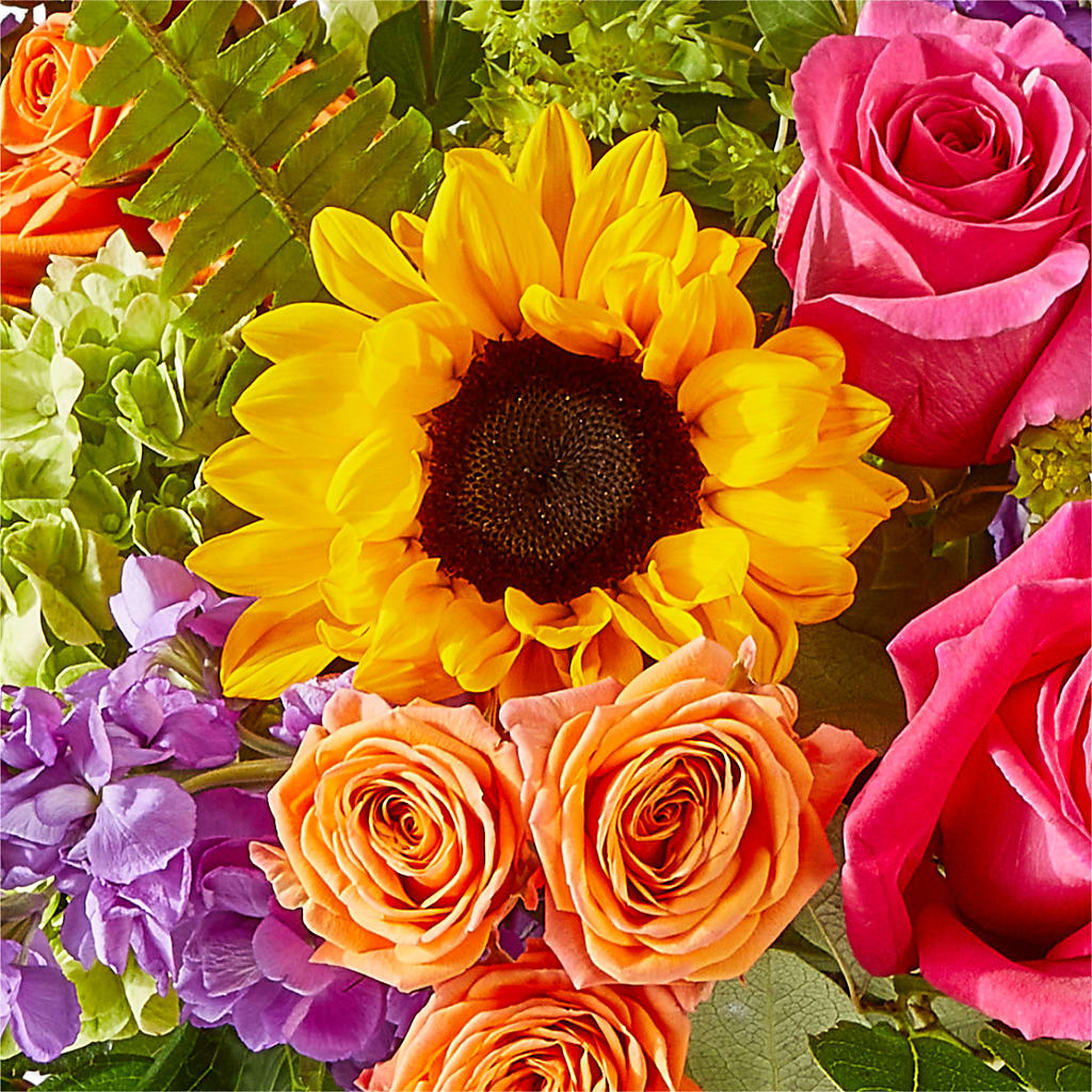 Vibrant Greetings Bouquet –  Velvet Leaf And Stem, Las Vegas NV