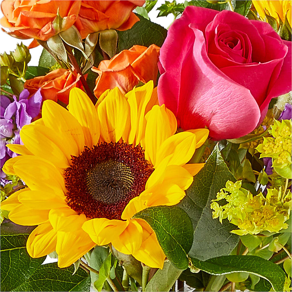 Vibrant Greetings Bouquet –  Velvet Leaf And Stem, Las Vegas NV