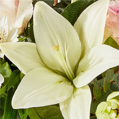 Ballet Slippers Bouquet –  Velvet Leaf And Stem, Las Vegas NV