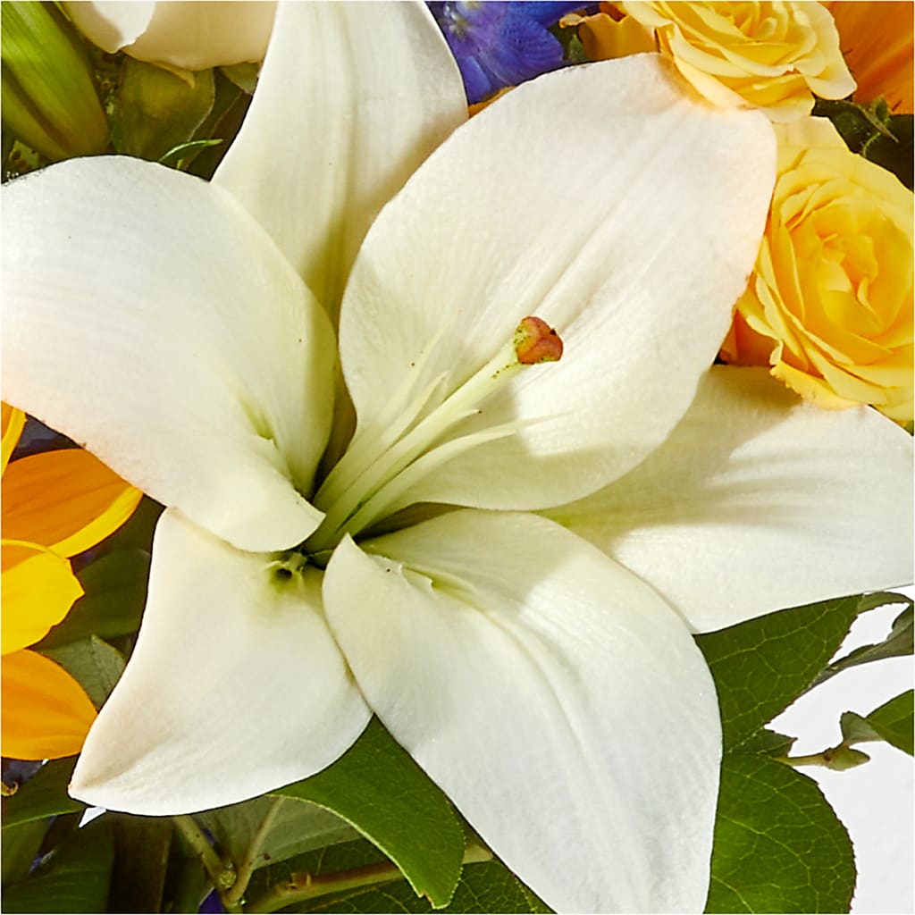 Wonderfully Sunny Bouquet –  Velvet Leaf And Stem, Las Vegas NV