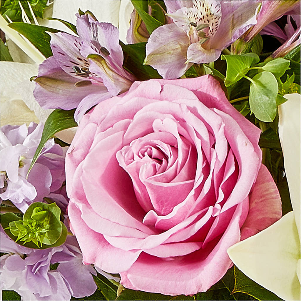 Daydreamer Bouquet –  Velvet Leaf And Stem, Las Vegas NV