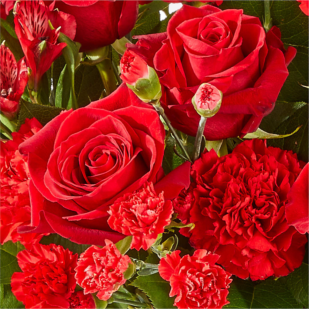 The Heartstrings Bouquet –  Velvet Leaf And Stem, Las Vegas NV