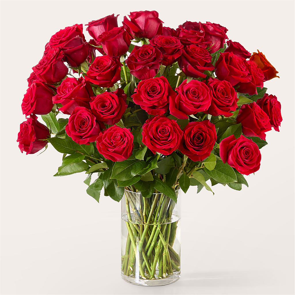 The One Red Rose Bouquet –  Velvet Leaf And Stem, Las Vegas NV