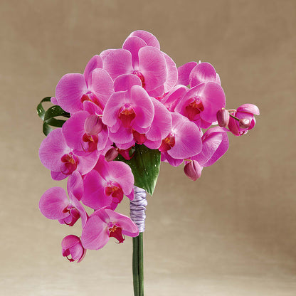 Glorious Bouquet –  Velvet Leaf And Stem, Las Vegas NV