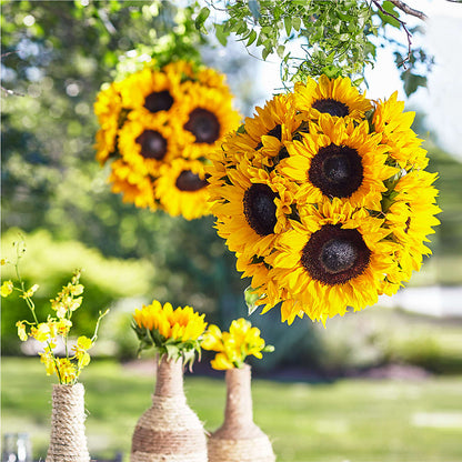 Sublime Garden Hanging Arrangement –  Velvet Leaf And Stem, Las Vegas NV