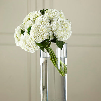 White Hydrangea Hand-Tied Bouquet –  Velvet Leaf And Stem, Las Vegas NV