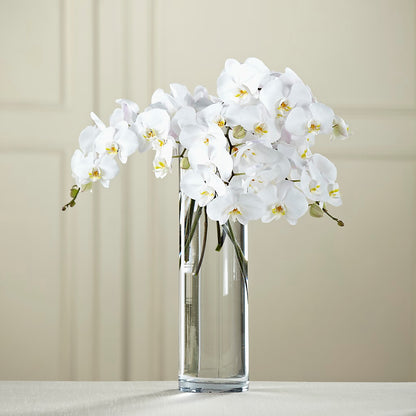 White Phalaenopsis Bouquet –  Velvet Leaf And Stem, Las Vegas NV