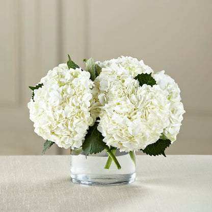 White Hydrangea Bouquet –  Velvet Leaf And Stem, Las Vegas NV